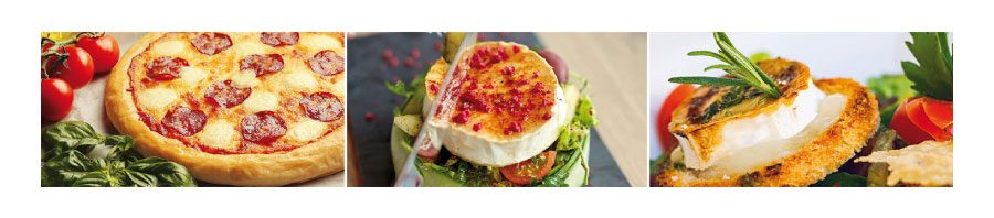 rulo-de-queso-de-cabra-de-sabores